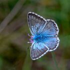 Was für ein Blau!