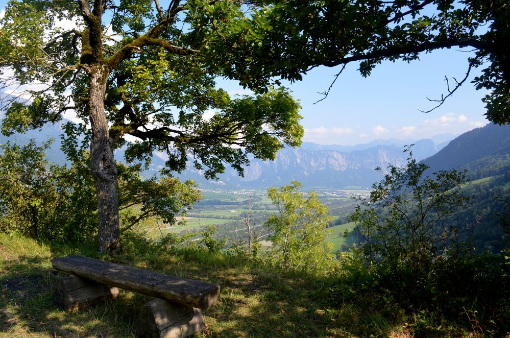 Was für ein Blick!