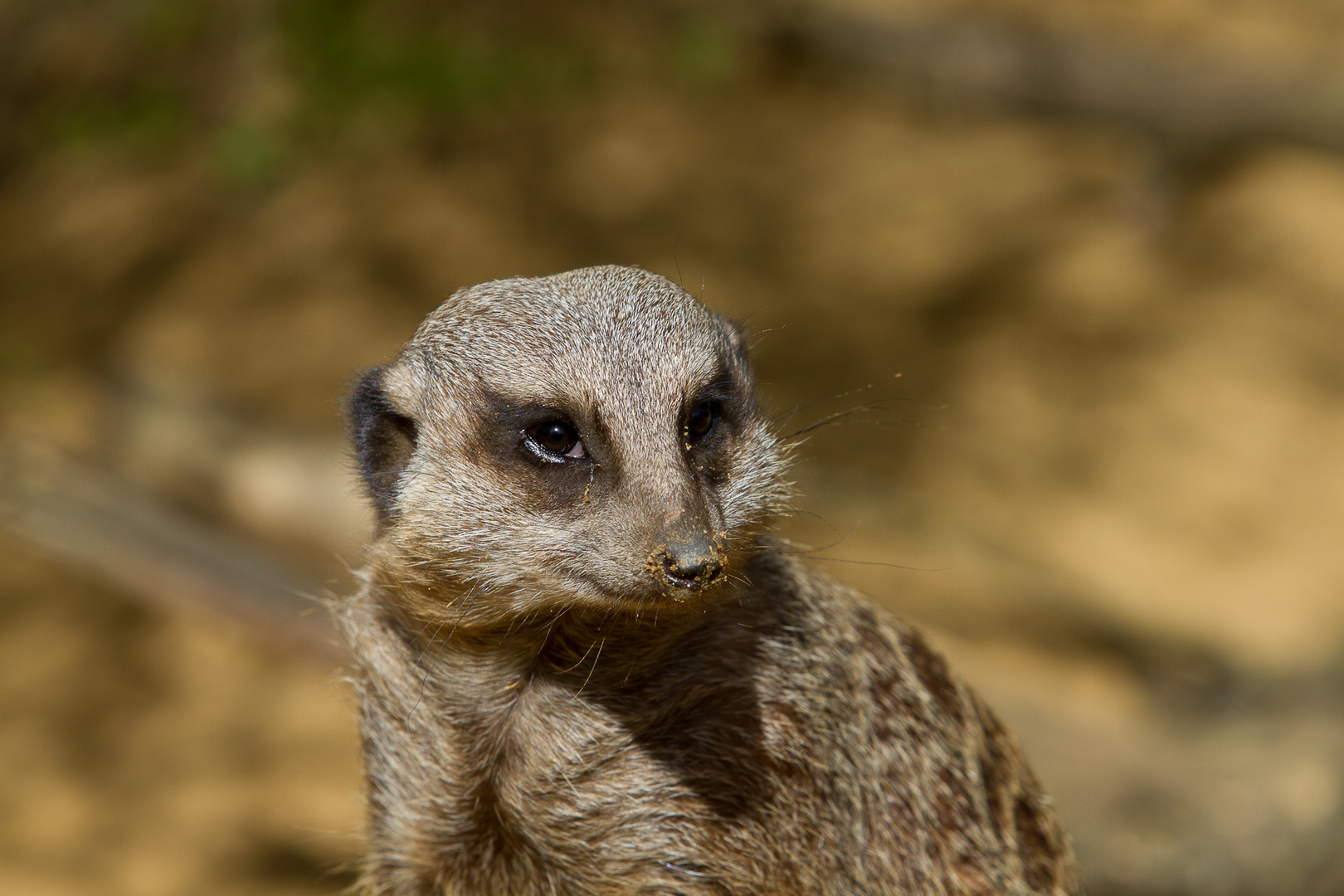 was für ein Blick