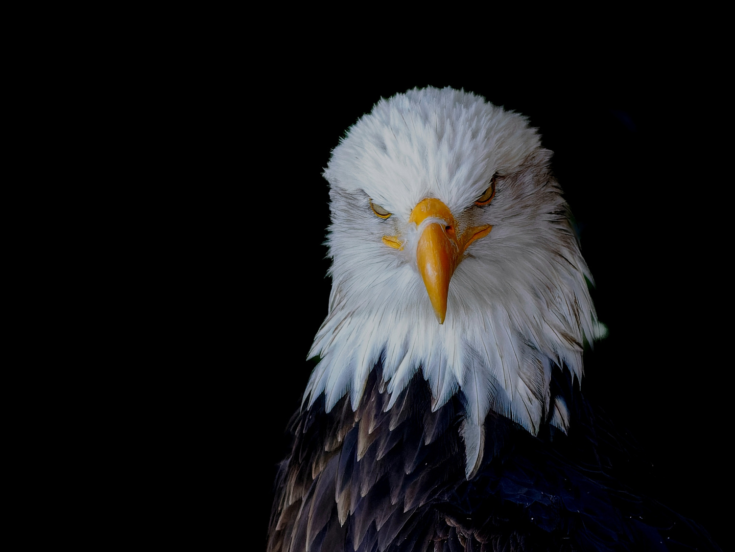 Was für ein eindringlicher Blick