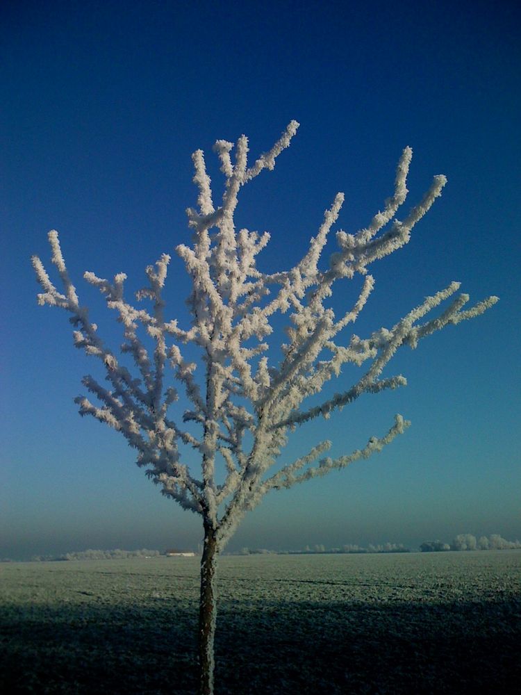 was für ein Frost von Holgi N. 