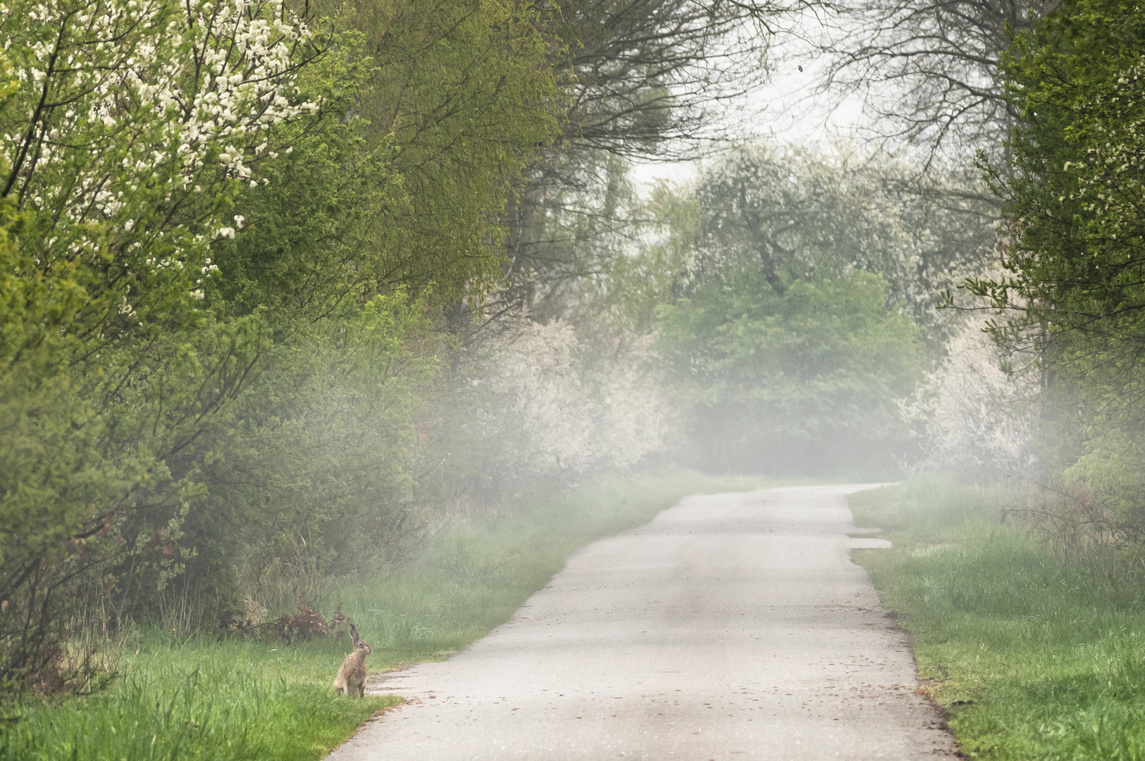 was für ein Frühling