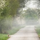 was für ein Frühling