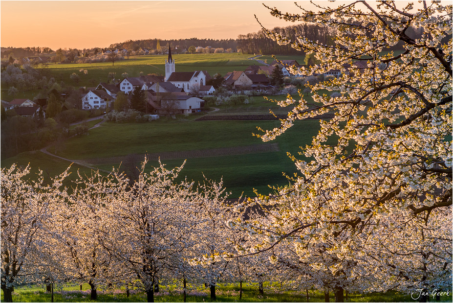 Was für ein Frühling