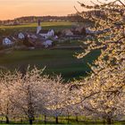 Was für ein Frühling