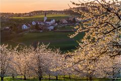 Was für ein Frühling