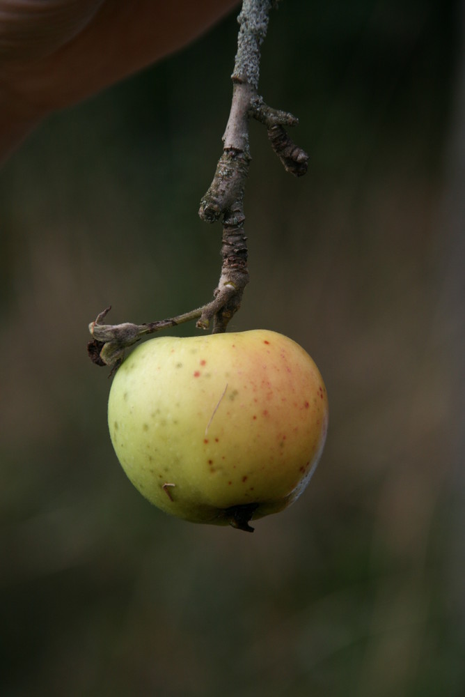 Was für ein Geschenk der Natur