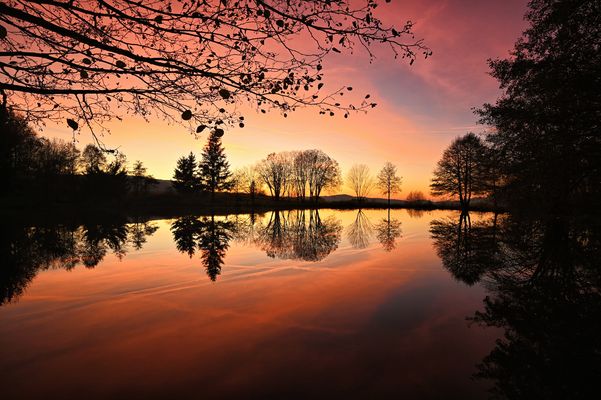 was für ein Glücksmoment...