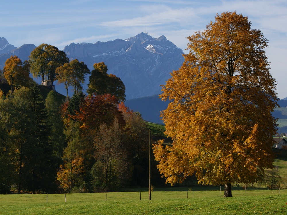 Was für ein Herbst!