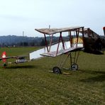 Was für ein komischer Vogel