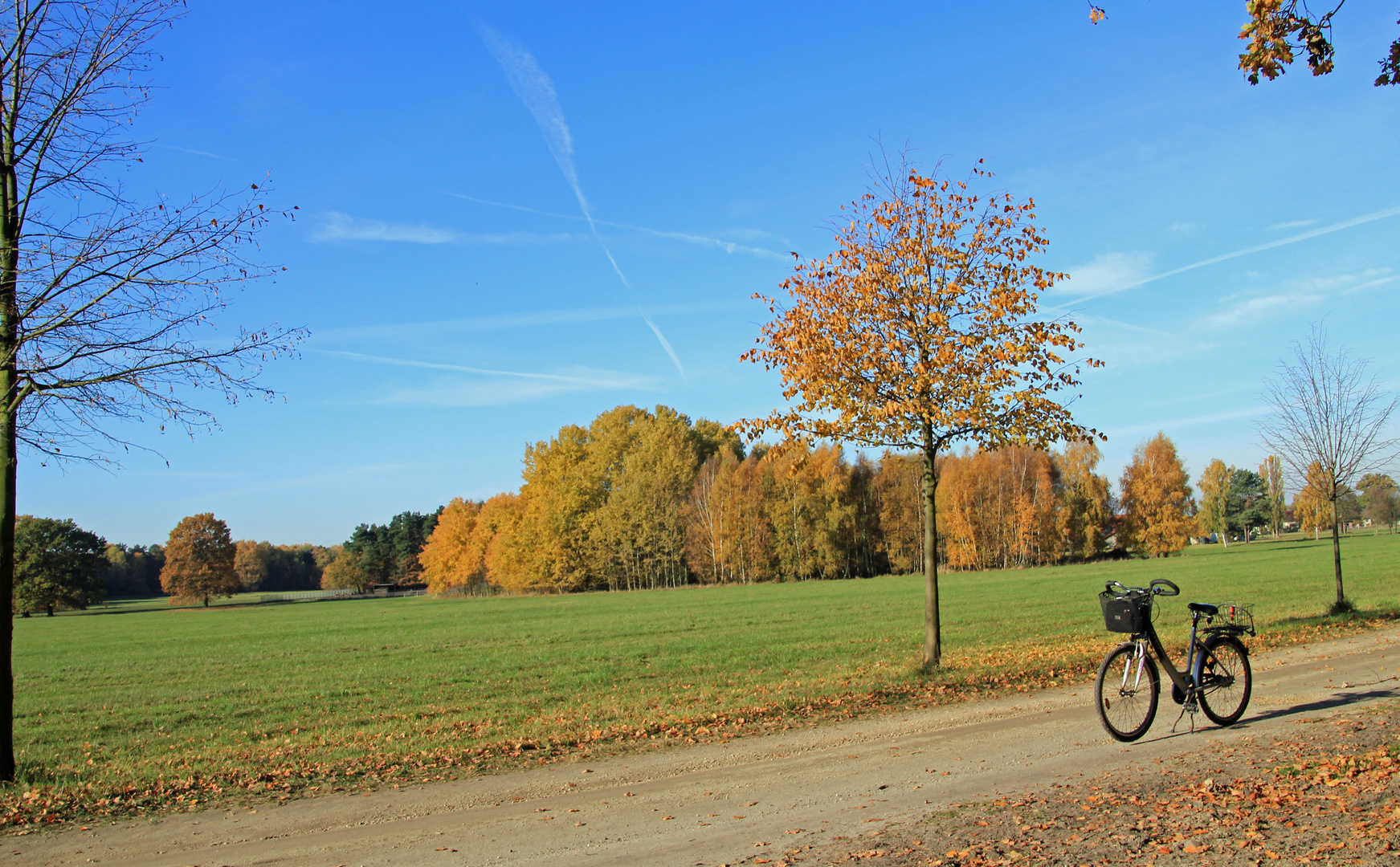 Was für ein prächtiger 1. November