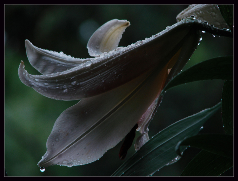 was für ein Regen