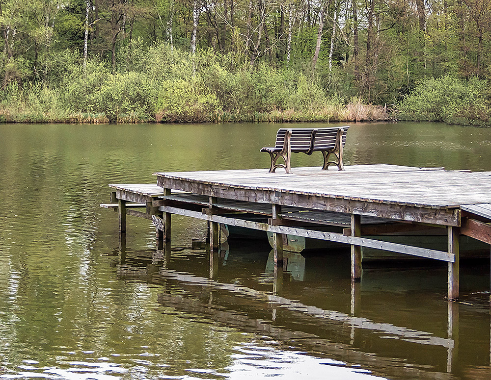 Was für ein Schausaal (Spiegeltag)