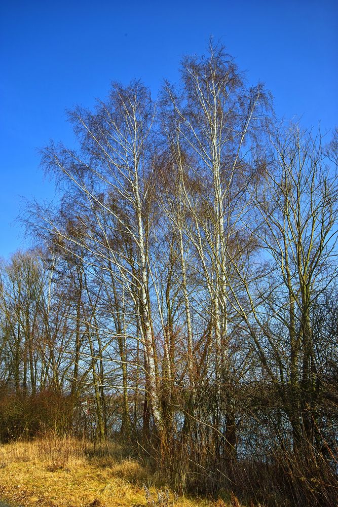 Was für ein schöner Sonnentag ist heute ! Spaziergang am Freizeitsee in Northeim.