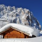 Was für ein schöner Tag heute, die Sonne scheint und der Schnee glitzert!