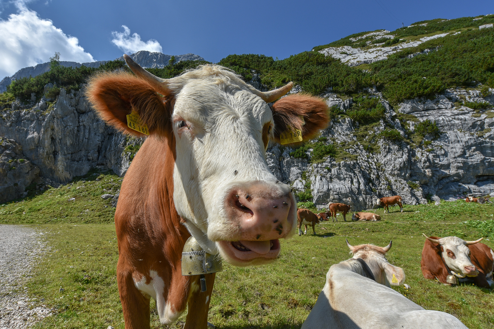 Was für ein Sommer !