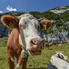 Was für ein Sommer !