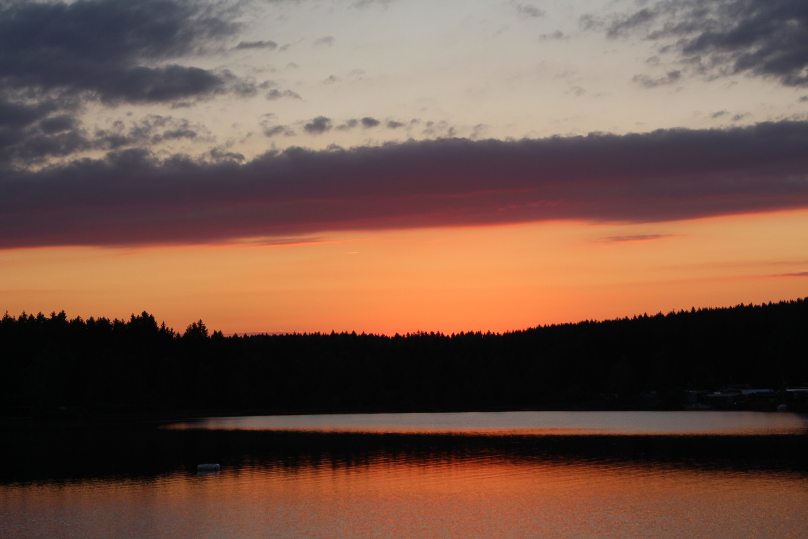 ...was für ein Sommerabend am Gayrichen Teich #2