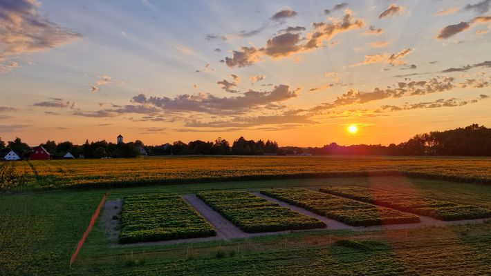 Was für ein Sonnenuntergang in meinem Heimatdorf!