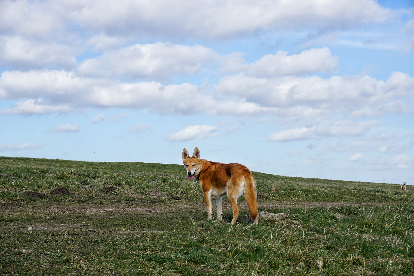 Was für ein Spaziergang