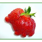 Was für ein Tierchen ist meine Erdbeere?