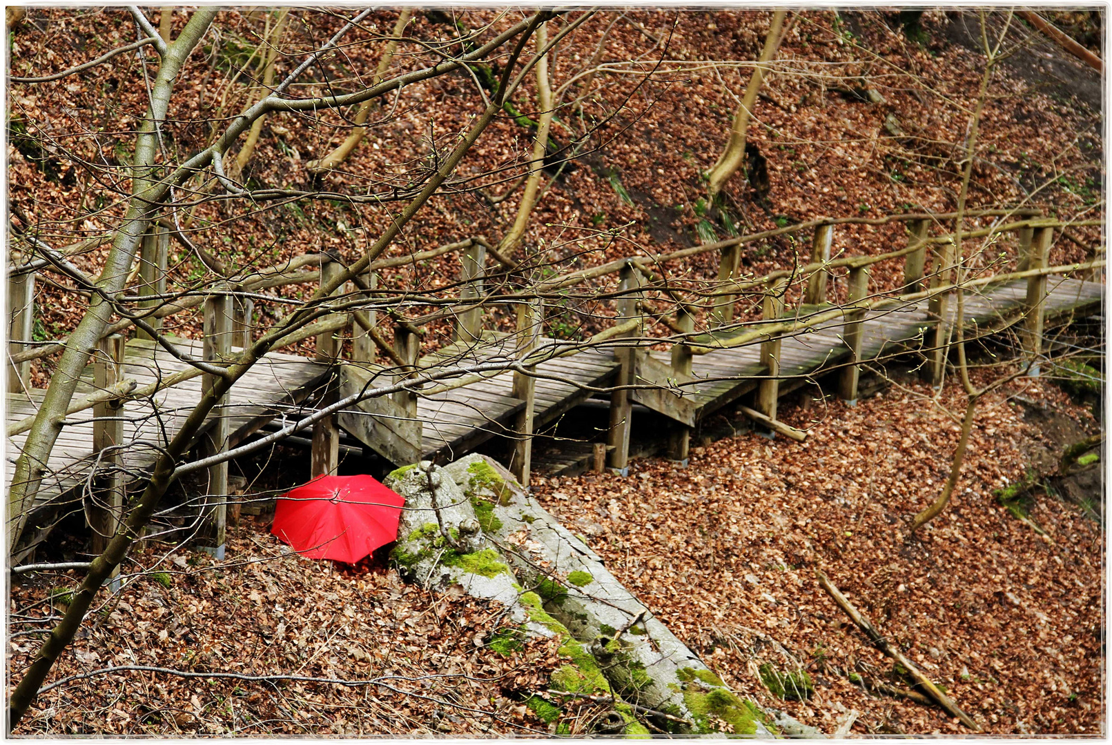 Was für ein Weg ... über tausend Stufen ?