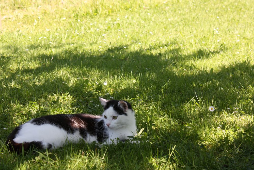 Was für ein Wetter! Schön.