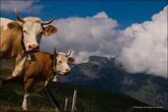 was für eine Aussicht....