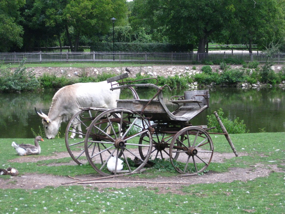 was für eine idylle....................................................