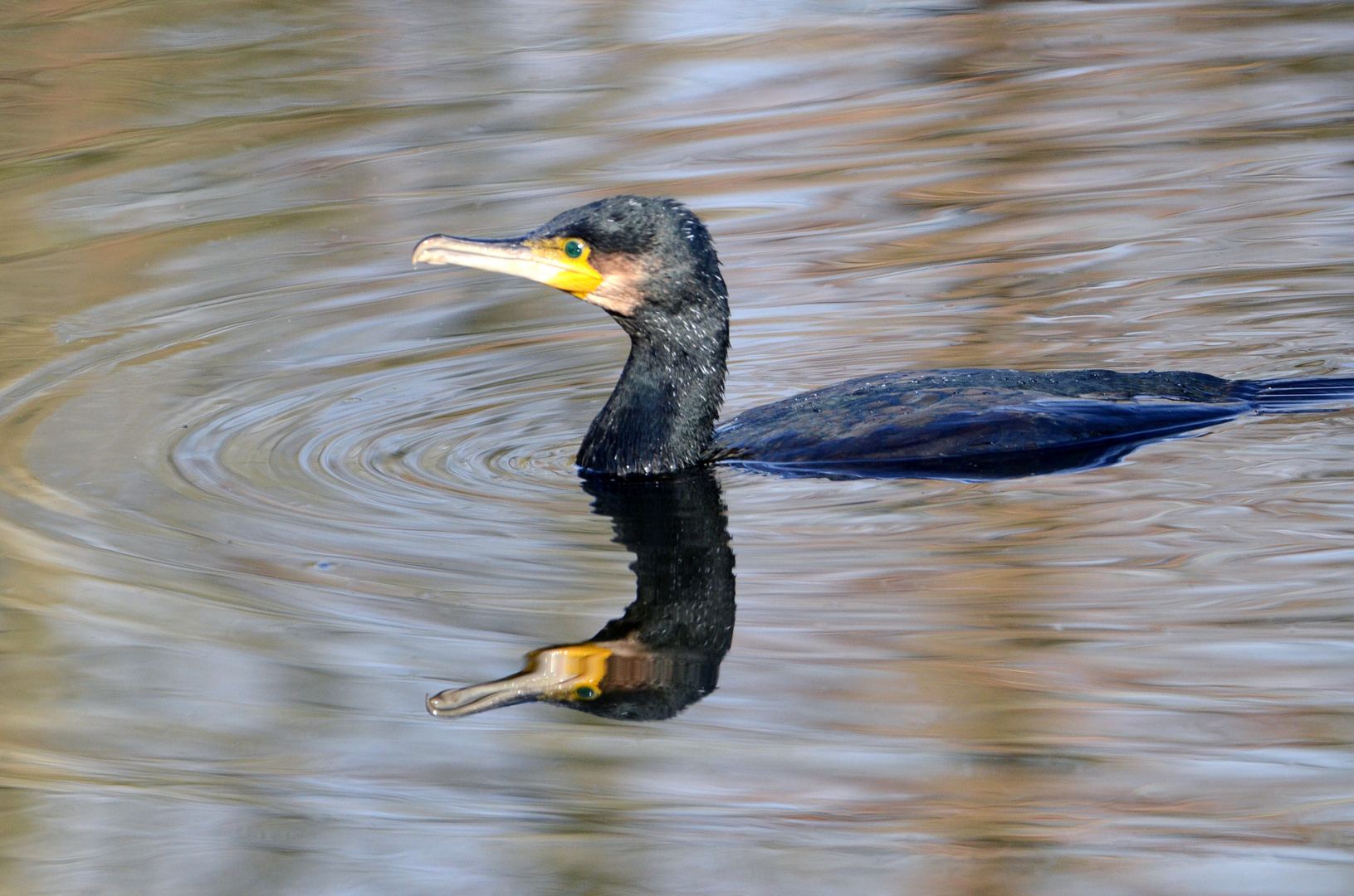 Was für eine schöne Wasseroberfläche 1