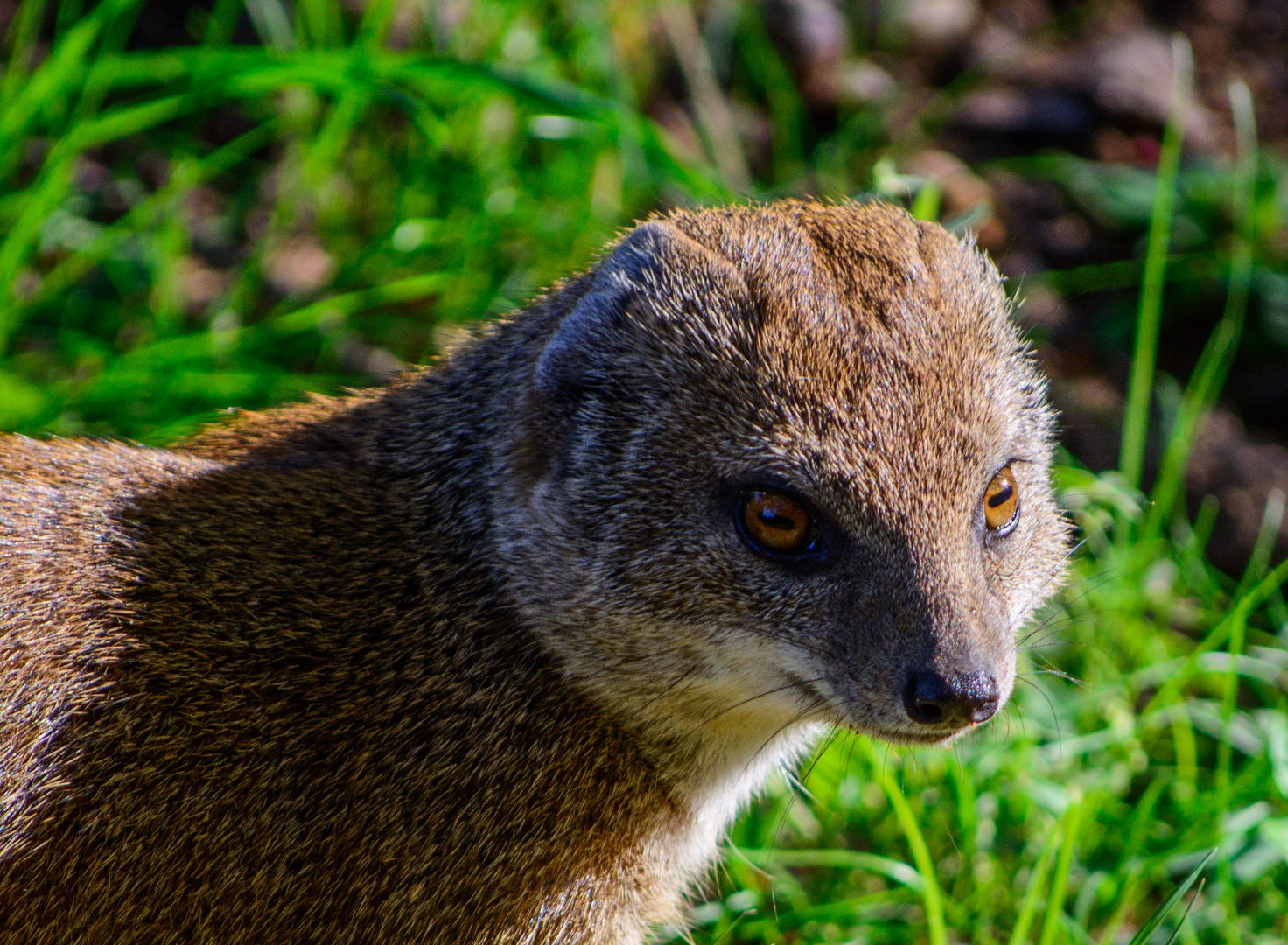 Was für tolle Augen