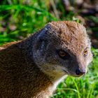 Was für tolle Augen