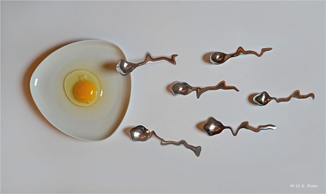 Was fürs Kopfkino .....