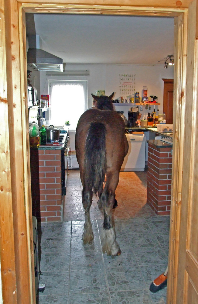 Was gib es heute zu essen?