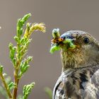 "Was gibt es da zu gucken, ...