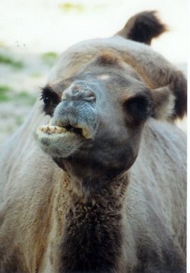 Was gibt es denn da Spannendes zu sehen?