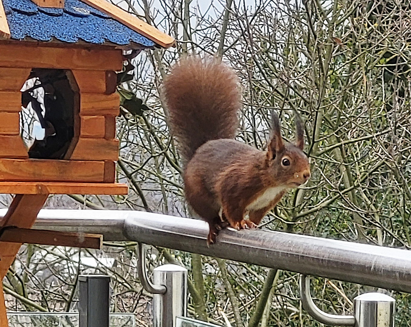 was gibt es hier zu holen?