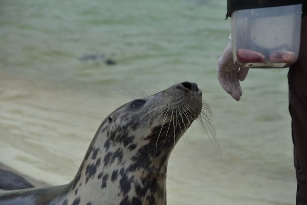 Was gibt's da noch Leckeres?