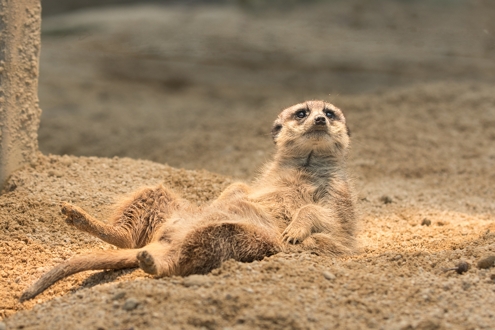 Was gibts da zu gucken???