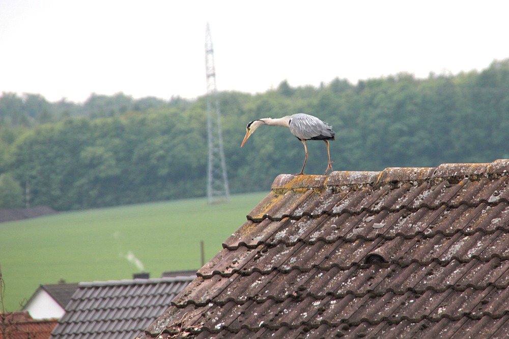 Was gibts da zu sehen?