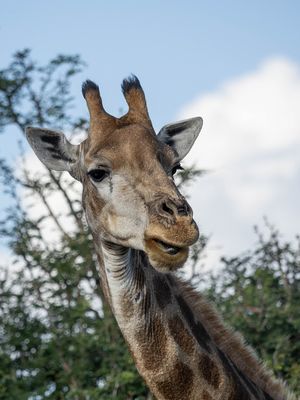 Was gibt`s denn da zu lachen?