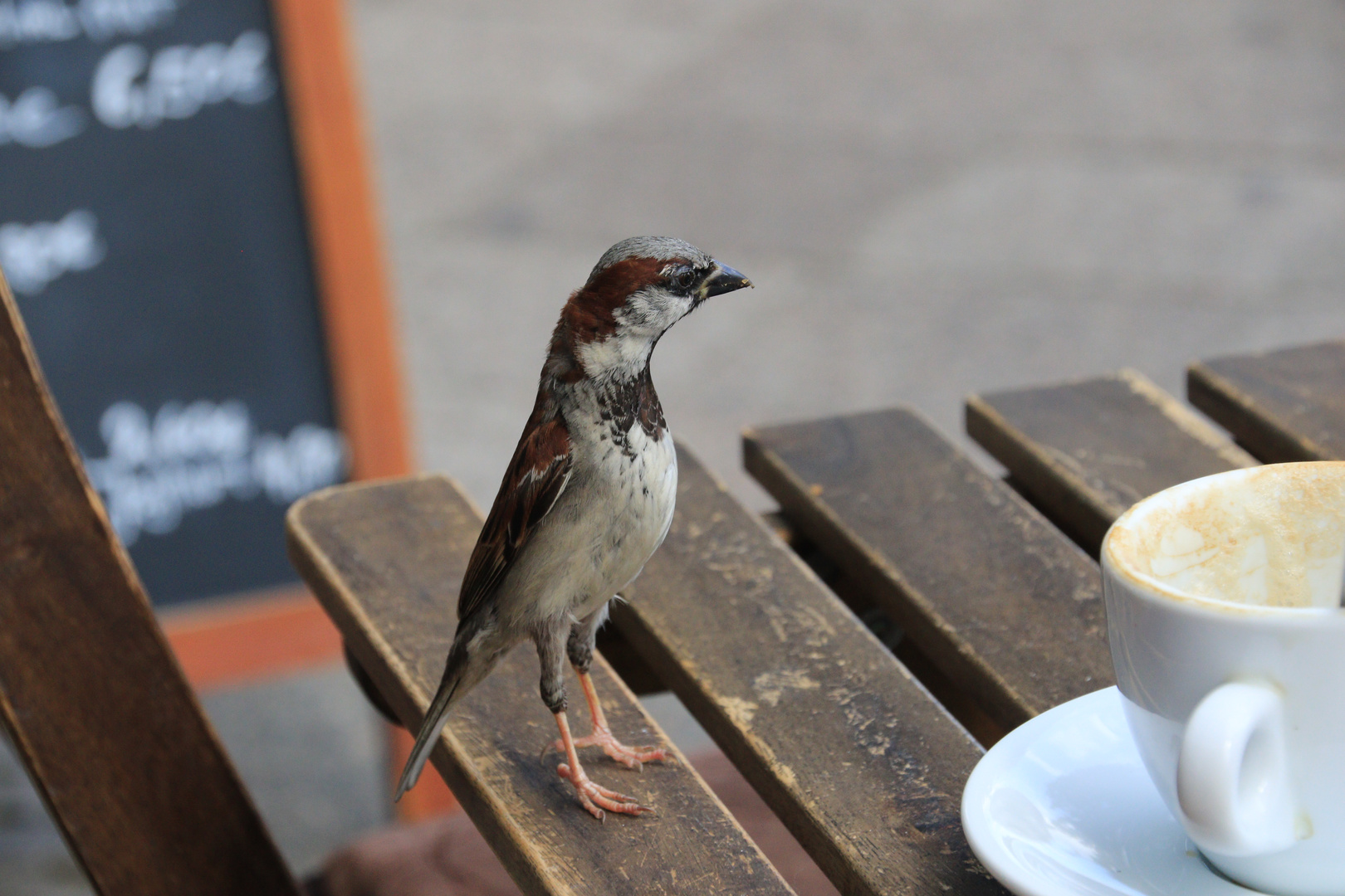 Was gibt's zum Cafe ?