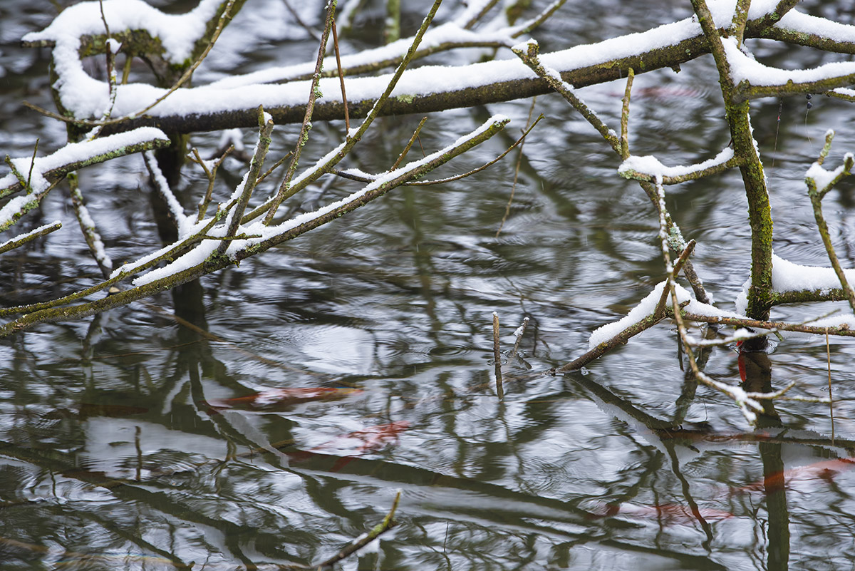 Was glänzt dort im Wasser...