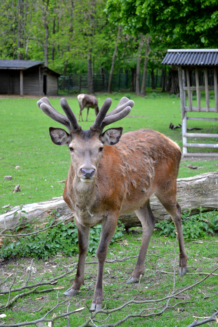 Was guckst du?