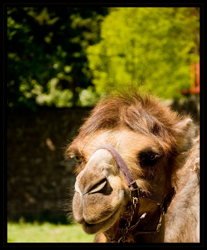 Was guckst Du...?