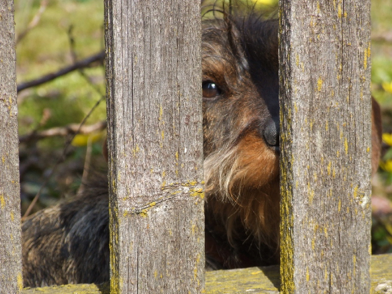 "Was guckst Du?" (10)