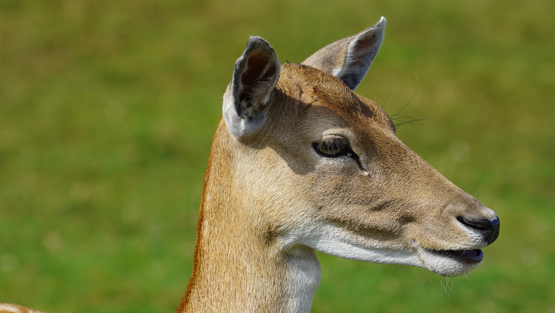 Was guckst du?