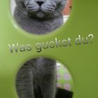 Was guckst Du??