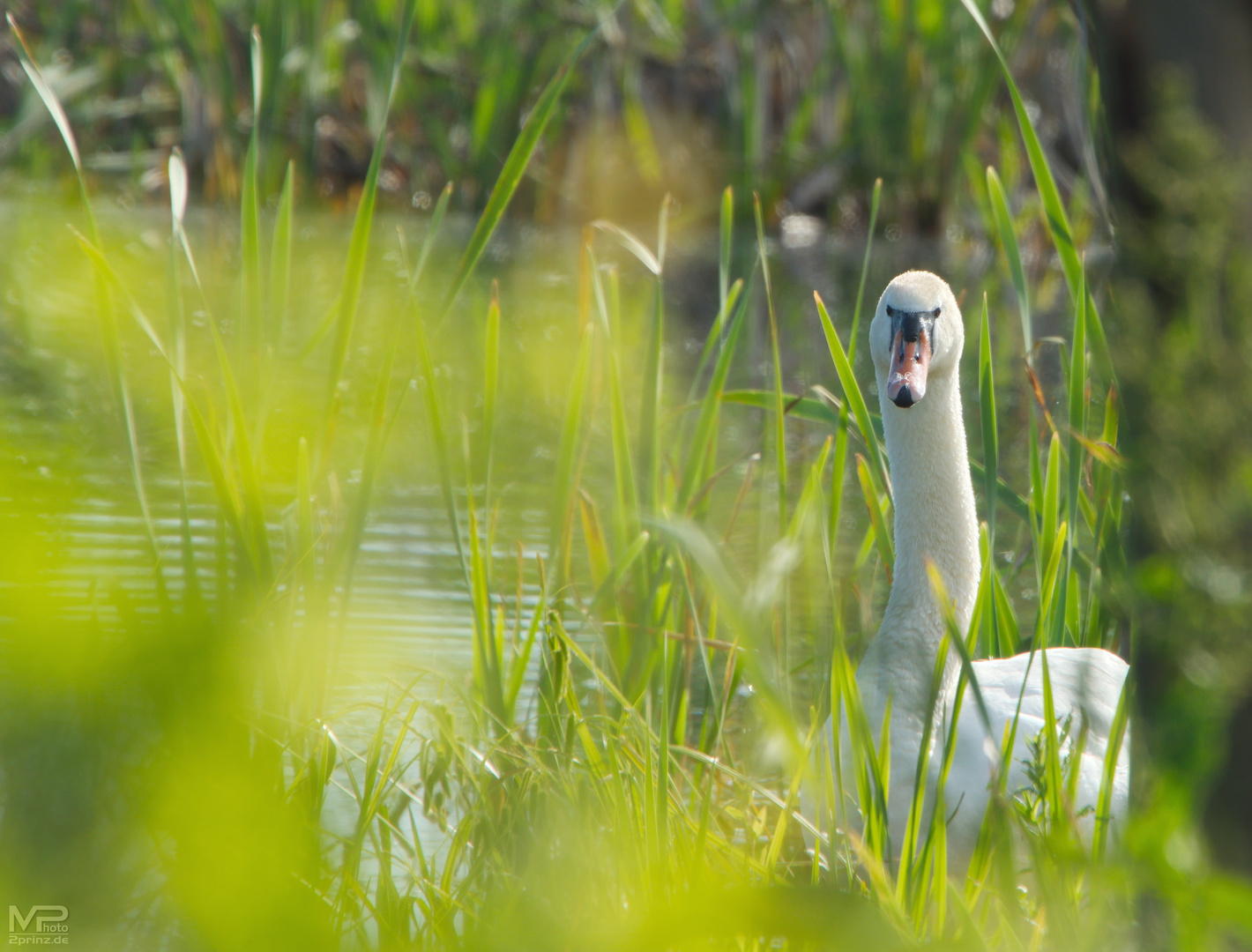 was guckst du? :)