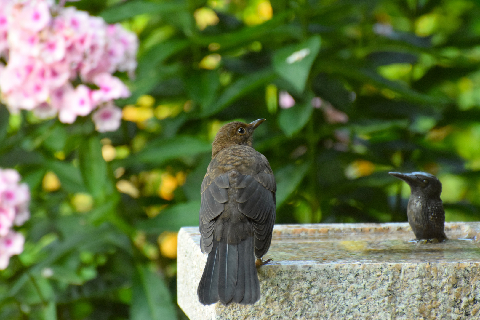 Was guckst Du?